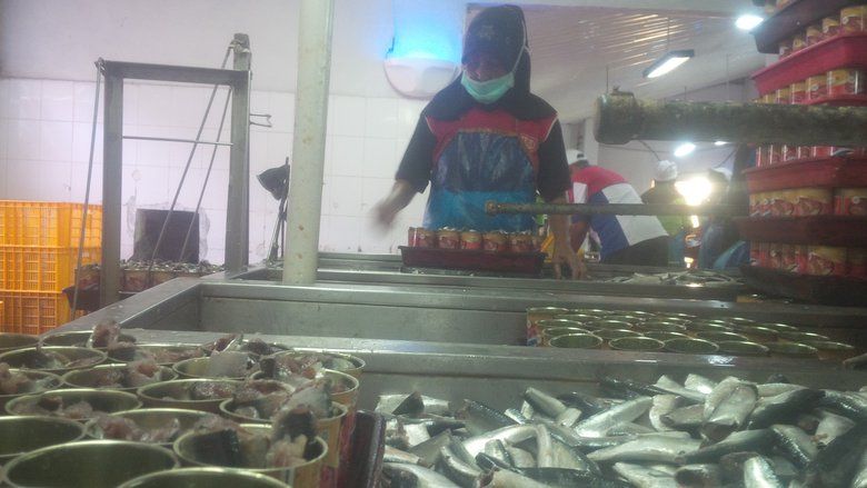 Video Cacing Viral, Penjualan Ikan Kaleng Banyuwangi Lesu