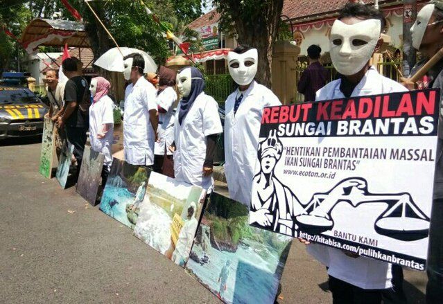 Ecoton: Tahun 2018&nbsp;Kematian Ikan Massal Terparah