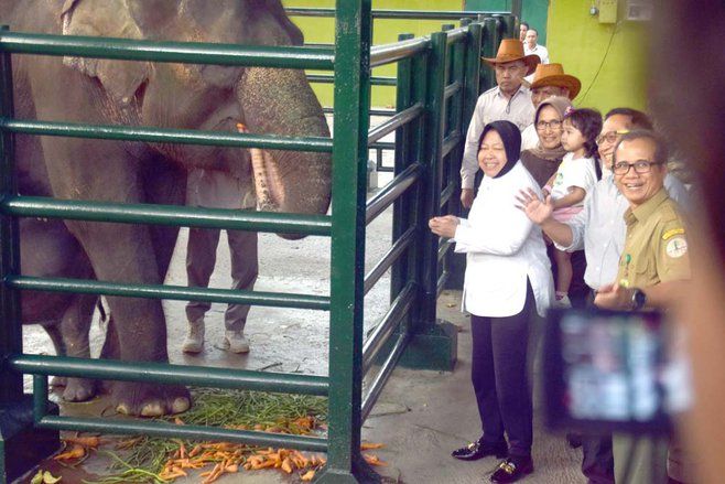 Risma Fokus Benahi KBS Menjadi Lebih Baik Lagi