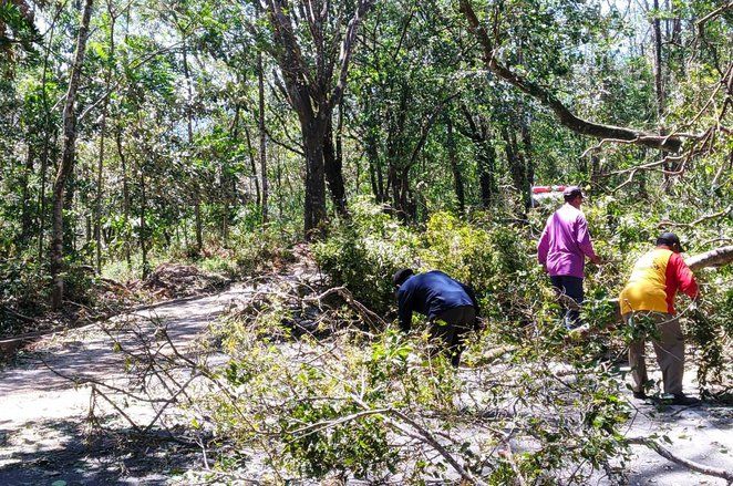 Jalur Pacet-Cangar Ditutup Imbas Badai Angin di Batu