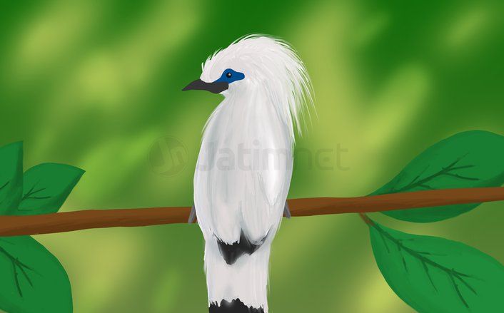 Penjual Online Satwa Dilindungi&nbsp;Asal Maluku Ditangkap di Malang