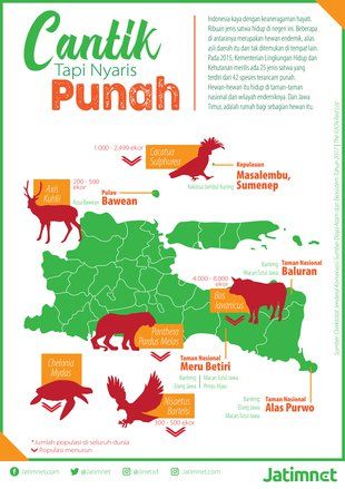 Delapan Ekor Burung Langka Hasil Sitaan Mati