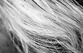 Ini Penyebab Rambut Beruban Sebelum Waktunya