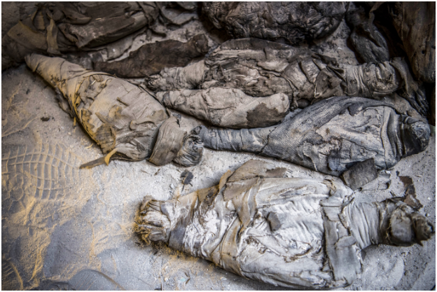 Mumi Tikus dan Kucing Ditemukan dalam Makam Kuno Mesir