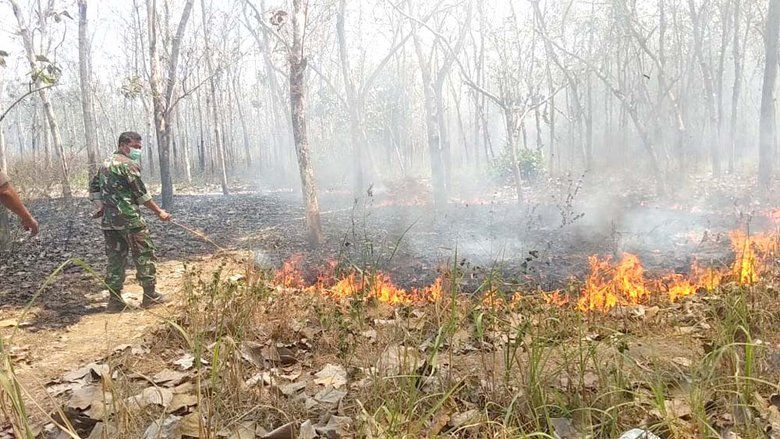 Tiga Hektar Hutan Maliran Blitar Terbakar