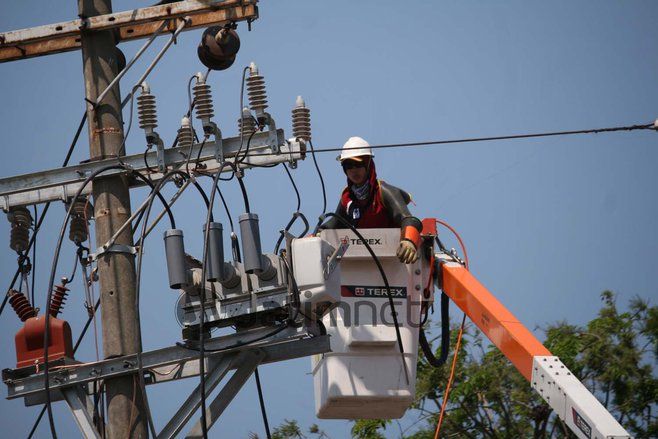 Dijadikan Pembangkitan, Korsel dan Jepang Datangkan Kayu Sengon Indonesia&nbsp;