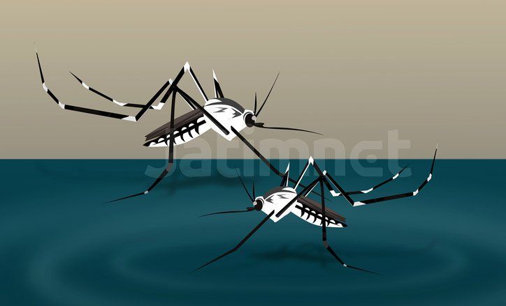 Bintang Youtube Anak-anak Asal Burundi Meninggal Karena Malaria