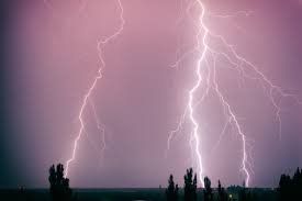 Mengapa Tak Boleh Berlindung Di Bawah Pohon Saat Hujan?