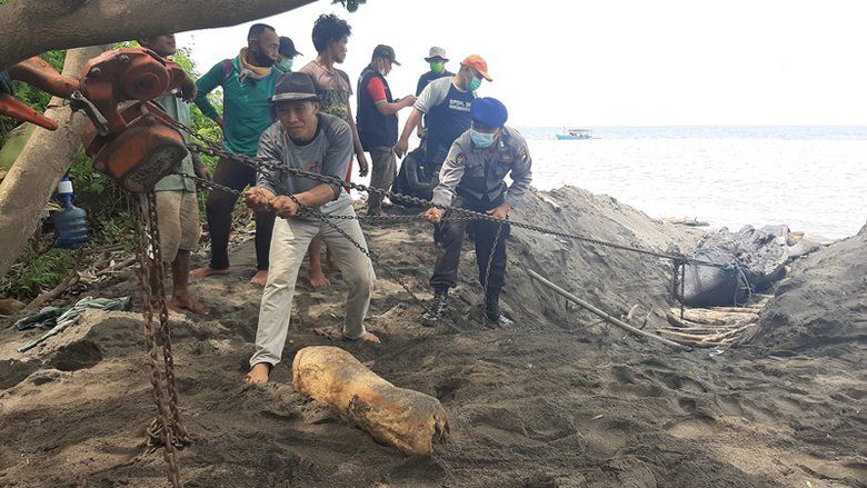 KKP Teliti Penyebab Beberapa Kali Paus dan Penyu Terdampar di Jatim dan Bali