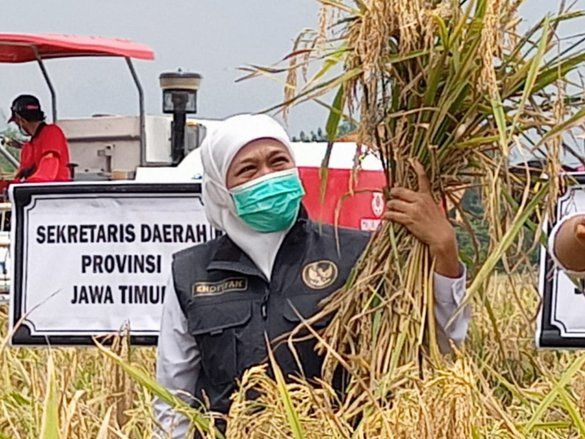 (BAGIAN-3) Menganalisis Korelasi Curah&nbsp;Hujan dan Produksi Padi Ladang Banyuwangi 2013-2020