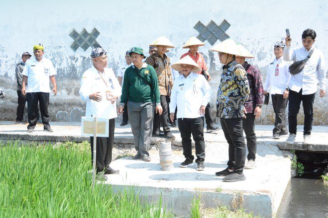 Tim IGA 2023 Puji Inovasi Bibit Padi Unggul BK 01 dan BK 02 Pemkab Situbondo