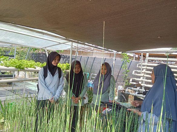 Siswa SDLB di Mojokerto Diajari Pertanian Hidroponik