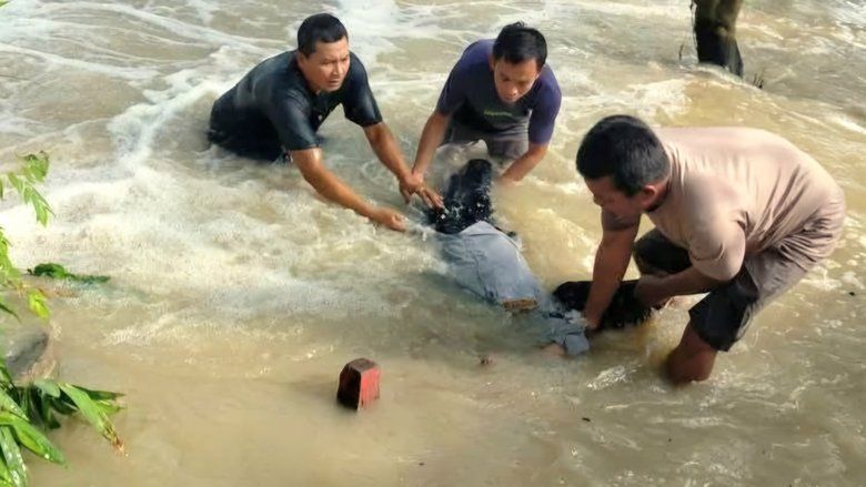 Petugas Dishub Gresik Terseret Banjir, Begini Kondisinya
&nbsp;