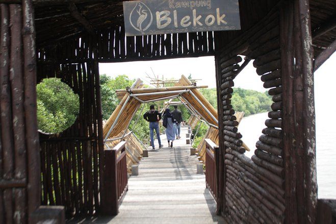 Kampung Blekok, Ekowisata Mangrove dan Habitat Bangau di Pesisir Situbondo