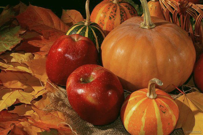 Ingin Paru-Paru Sehat, Coba Konsumsi 5 Makanan Ini&nbsp;