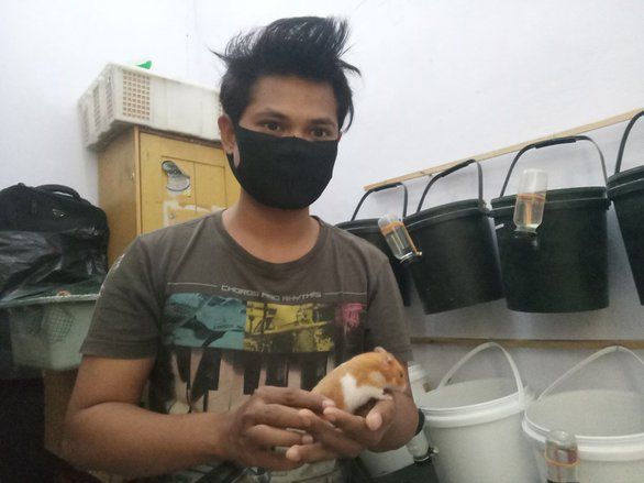 Cegah Covid, Mahasiswa di Jember Manfaatkan&nbsp;<em>Video</em> <em>Call</em> dalam Jual Beli Hamster