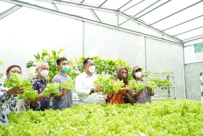 Mahasiswa UK Petra Bantu Warga Surabaya Tanam Sayur Berteknologi Internet