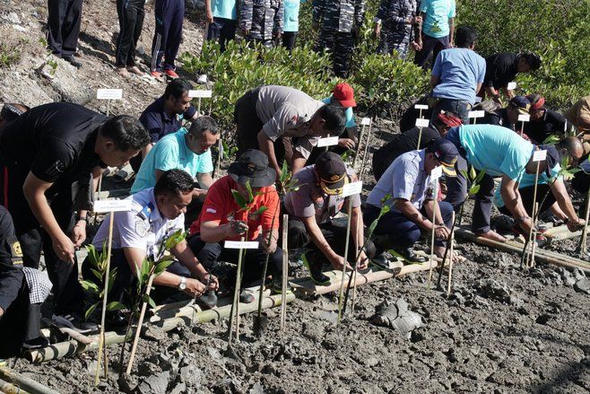 Pelindo III Hijaukan Pesisir Benoa dengan Tanam 50 Ribu Bakau