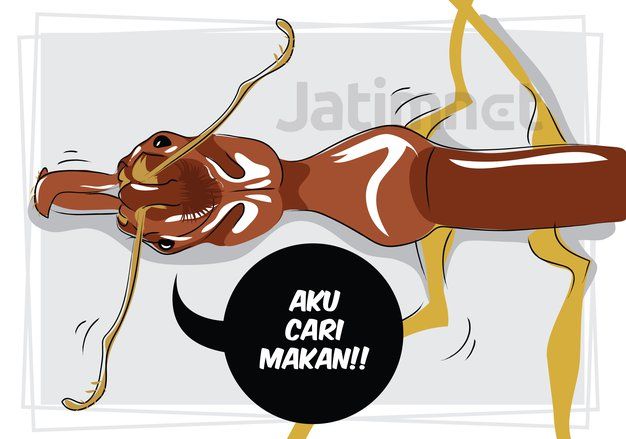 Ditemukan Semut Jenis Predator di Sumatra Barat