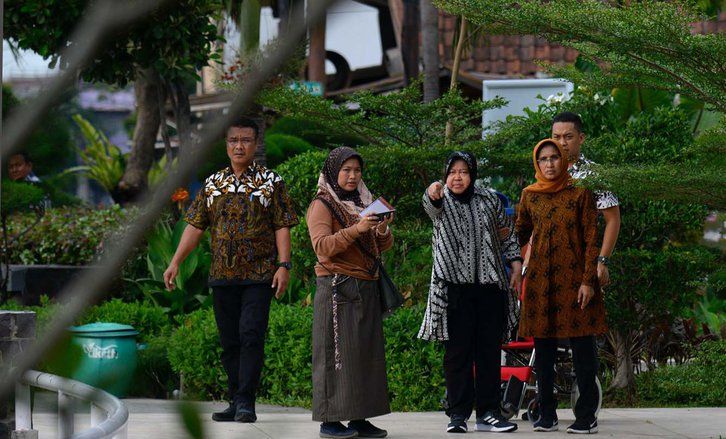 Jacaranda Bakal Lengkapi Indahnya Tabebuya di Surabaya