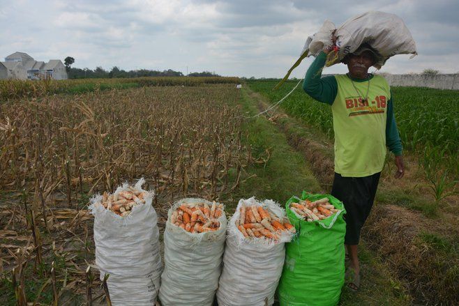 Lahan Pertanian di Jatim Terus Berkurang, Ini Penyebabnya