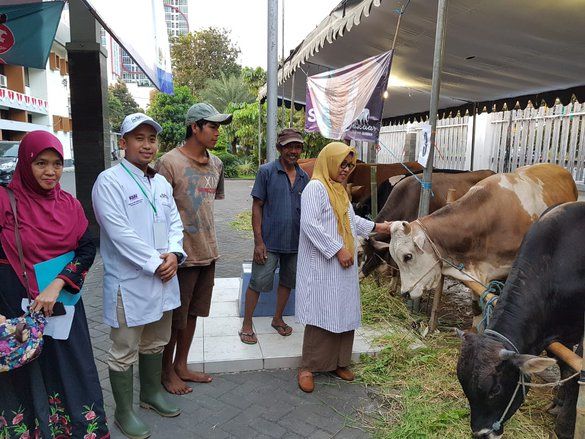 Disnak Jatim Teliti Kematian Sembilan Sapi di Situbondo