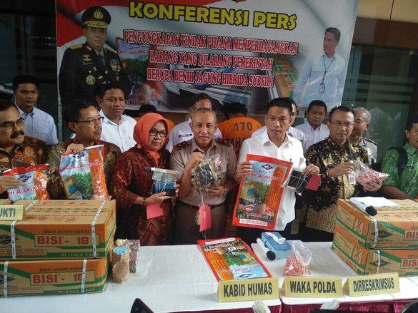 Polda Jatim Tangkap Tiga Pelaku Penjual Benih Jagung Bersubsidi