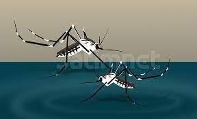 Kasus DBD di Tuban Meningkat, Tujuh Orang Meninggal Dunia