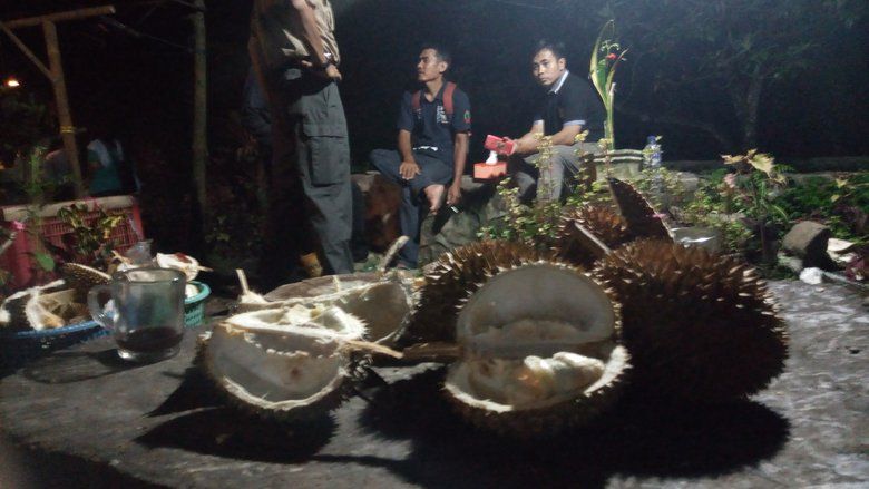 Menikmati Aneka dan Cita Rasa Durian di Banyuwangi