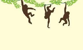 Kawanan Monyet Dikabarkan Masuk Kampung, Warga di Madiun Khawatir