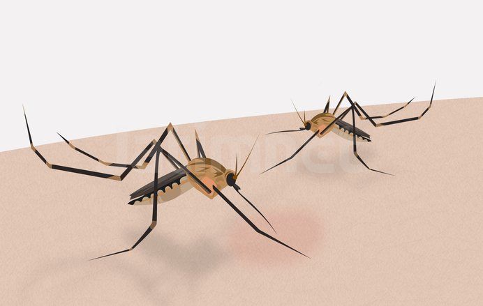 Dinkes Biak Tekan API Malaria Hingga 2,8 Persen