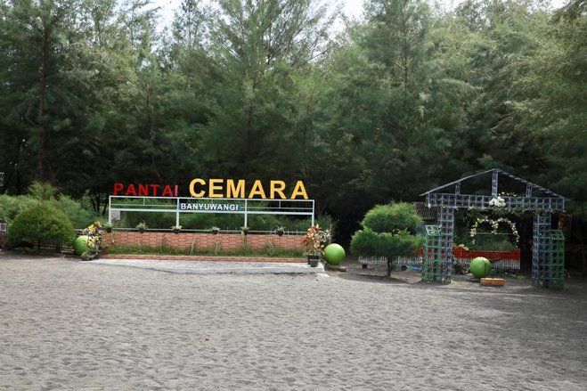 Pantai di Banyuwangi Ini Jadi Tempat Baru Penyu Bertelur