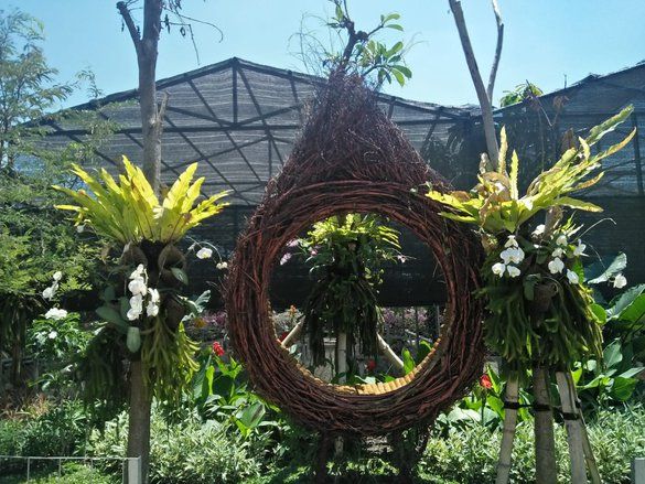 Bekas Rumah Bordil di Moroseneng Disulap Jadi Taman Anggrek&nbsp;